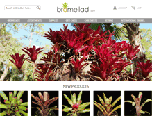 Tablet Screenshot of bromeliad.com